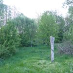 Einen Permakultur-Garten realisieren mit Marko Slacanin - Modul 3