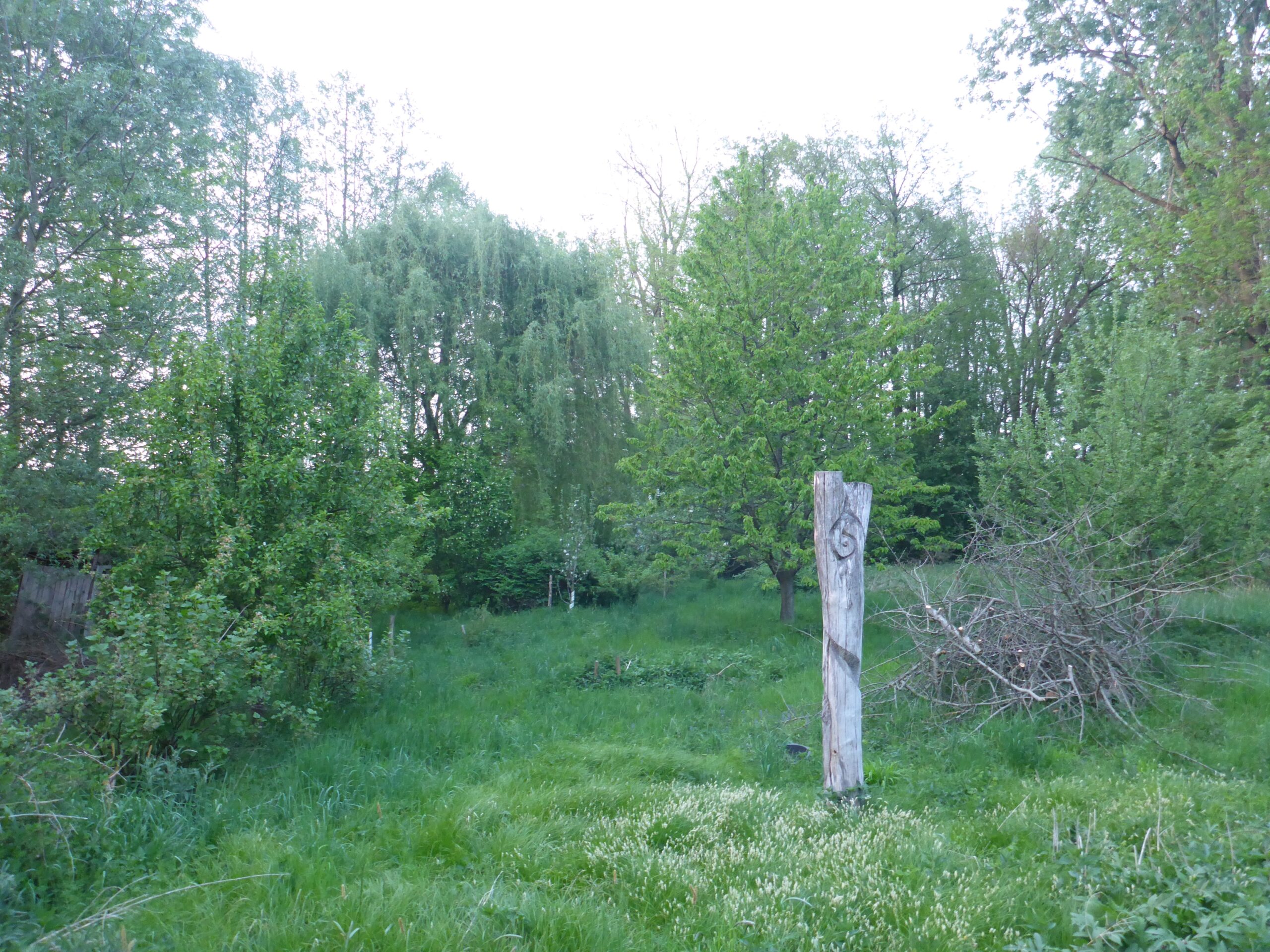 Einen Permakultur-Garten realisieren mit Marko Slacanin - Modul 3